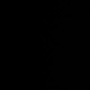 Meet your Posher, Silvia